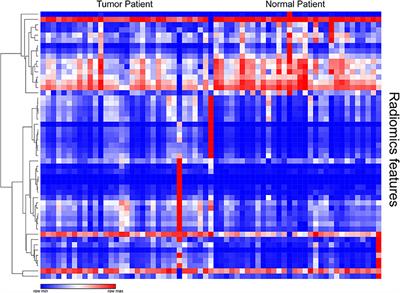 Texture Analysis of 18F-FDG PET/CT for Differential Diagnosis Spinal Metastases